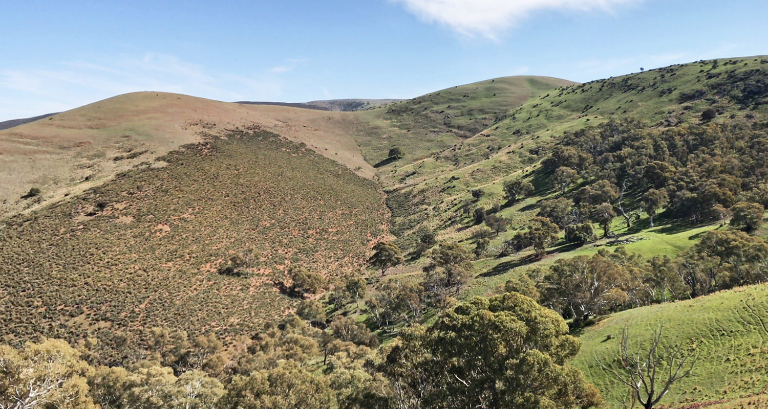 Day 14 - Goyder line View