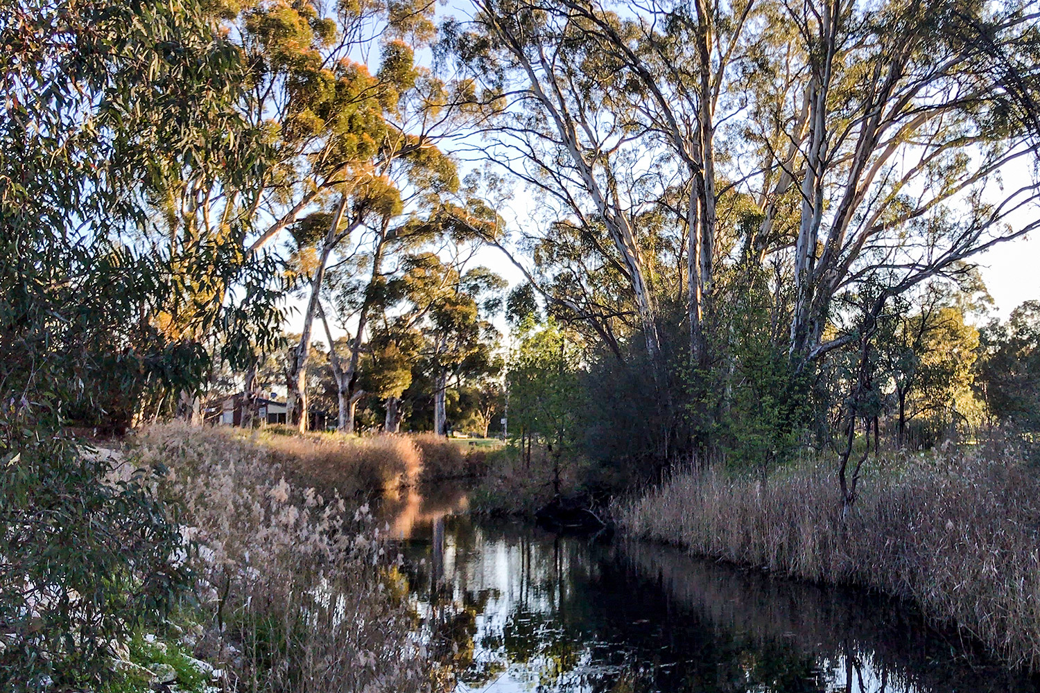Day 43 Tanunda (Rest Day) Trekking West