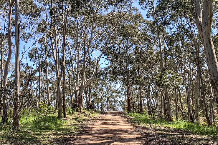 Adelaide Cleland Conservation Park Heysen Trail 